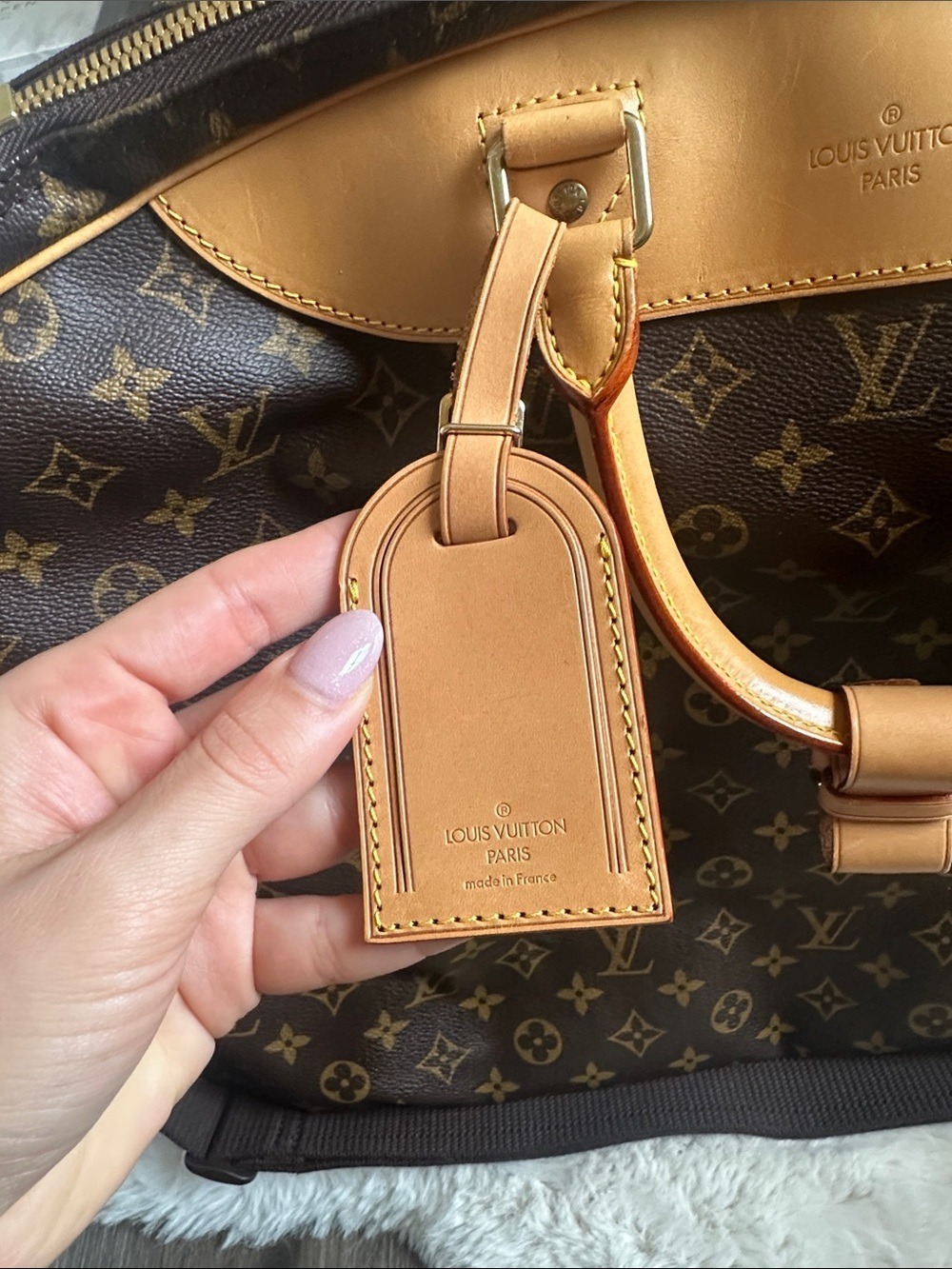 Louis Vuitton Alize Monogram Canvas Travel Bag - Picture 4 of 16